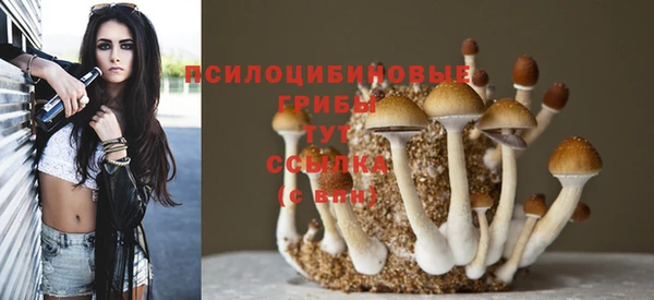 СК Навашино