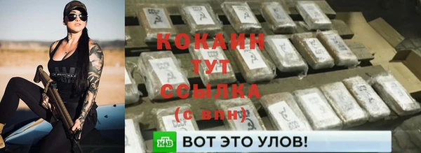 крисы Наволоки
