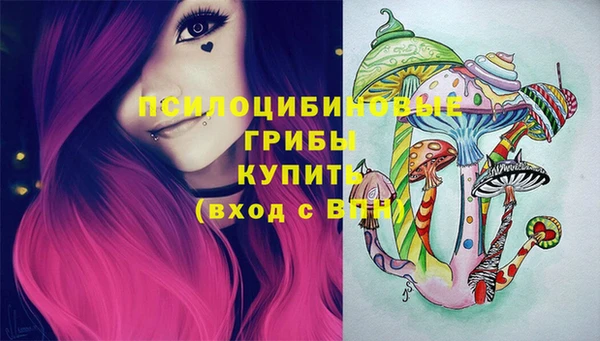 прущая мука Надым