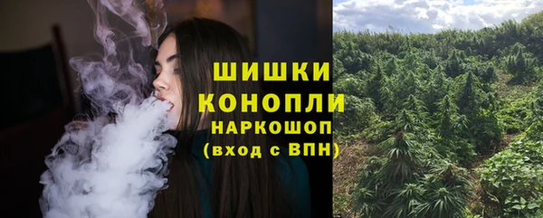 крисы Наволоки
