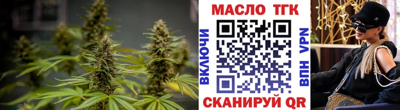 Купить  Заполярный  ТГК гашишное масло 