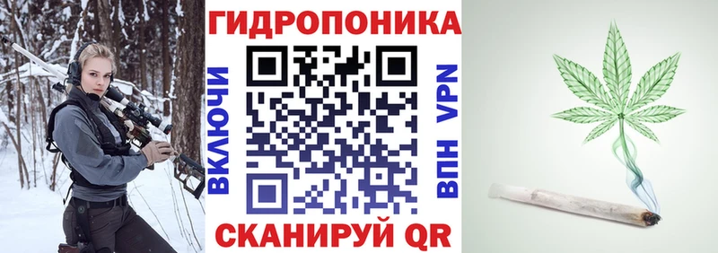 Шишки марихуана SATIVA & INDICA  Купить  Заполярный 